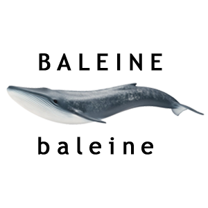 Baleine