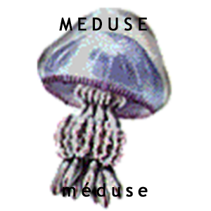 Meduse