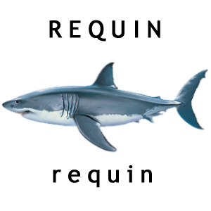 Requin