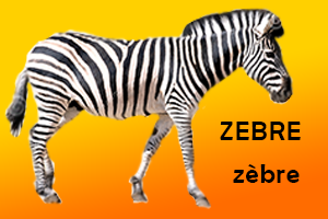 Zèbre