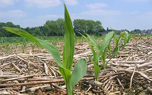 66001 Agroécologie Image de présentation