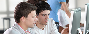 Insertion professionnelle