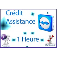 Crédit 1 heure d'assistance TeamViewer